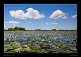Tisza-tó 055